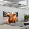 Koe- Schotse hooglander - Hoorns - Bruin - Landschap keuken achterwand spatscherm klein -3d_schuin