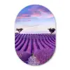 Lavendel - Natuur - Paars - Bomen Wandcirkel Ovaal Forex klein -3d
