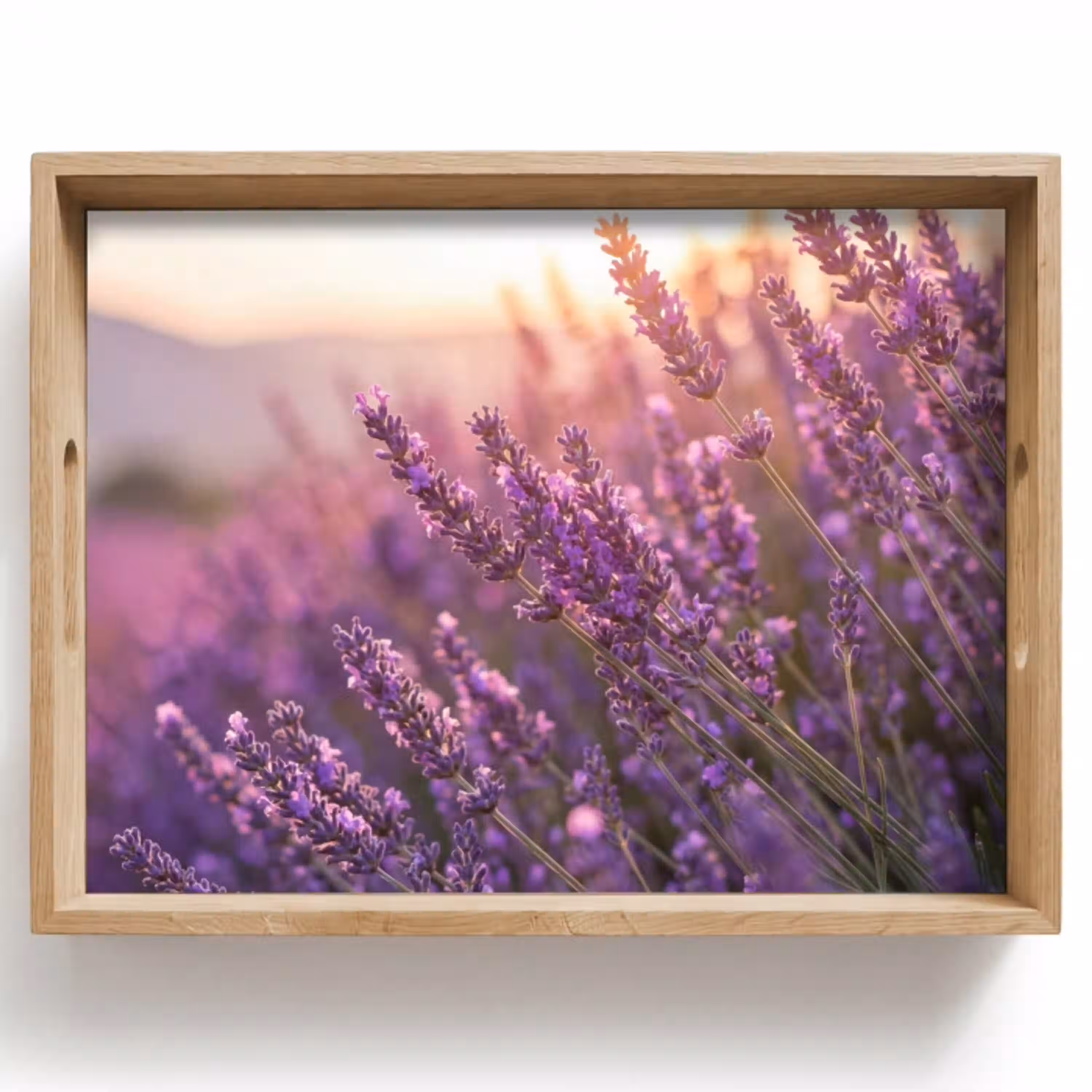 Lavendel - Paars - Zonlicht Dienblad Rechthoek middel -z3d_shopping