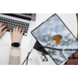 Roodborstje - Tak - Sneeuw - Winter - Levendig laptophoes neopreen klein -bureau