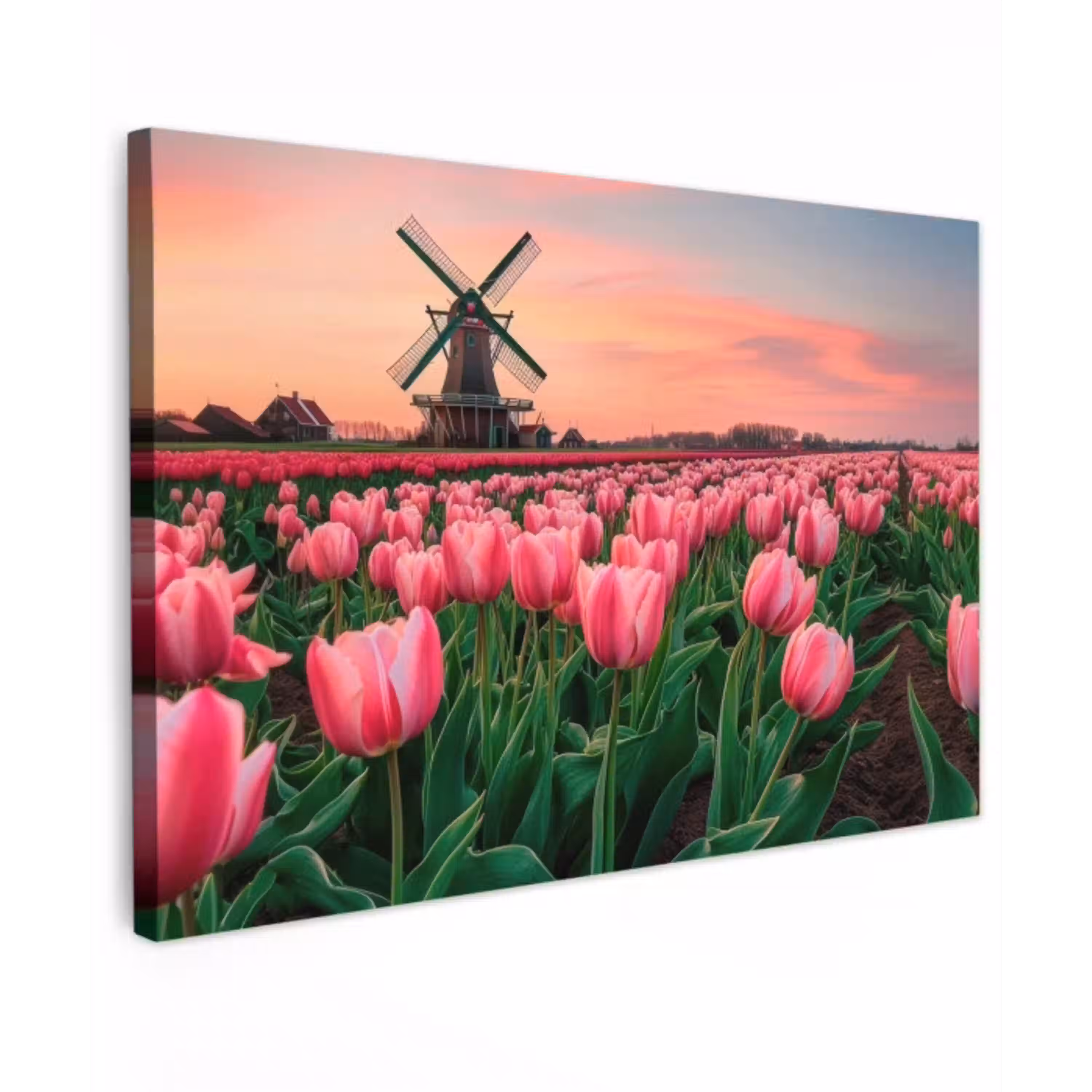 Tulpen - Molen - Nederland Tuinposter op houten frame 2 cm dik klein -3d
