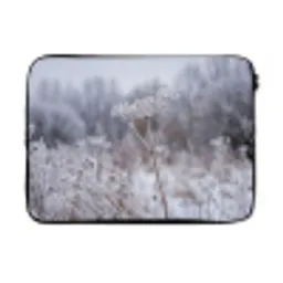 Schermbloem - Rijp - Kristallen - Winter - Delicaat laptophoes neopreen klein -3d