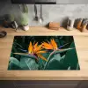 Paradijsvogel - Bloem - Exotisch Inductie beschermer vinyl 3mm klein -sfeer5