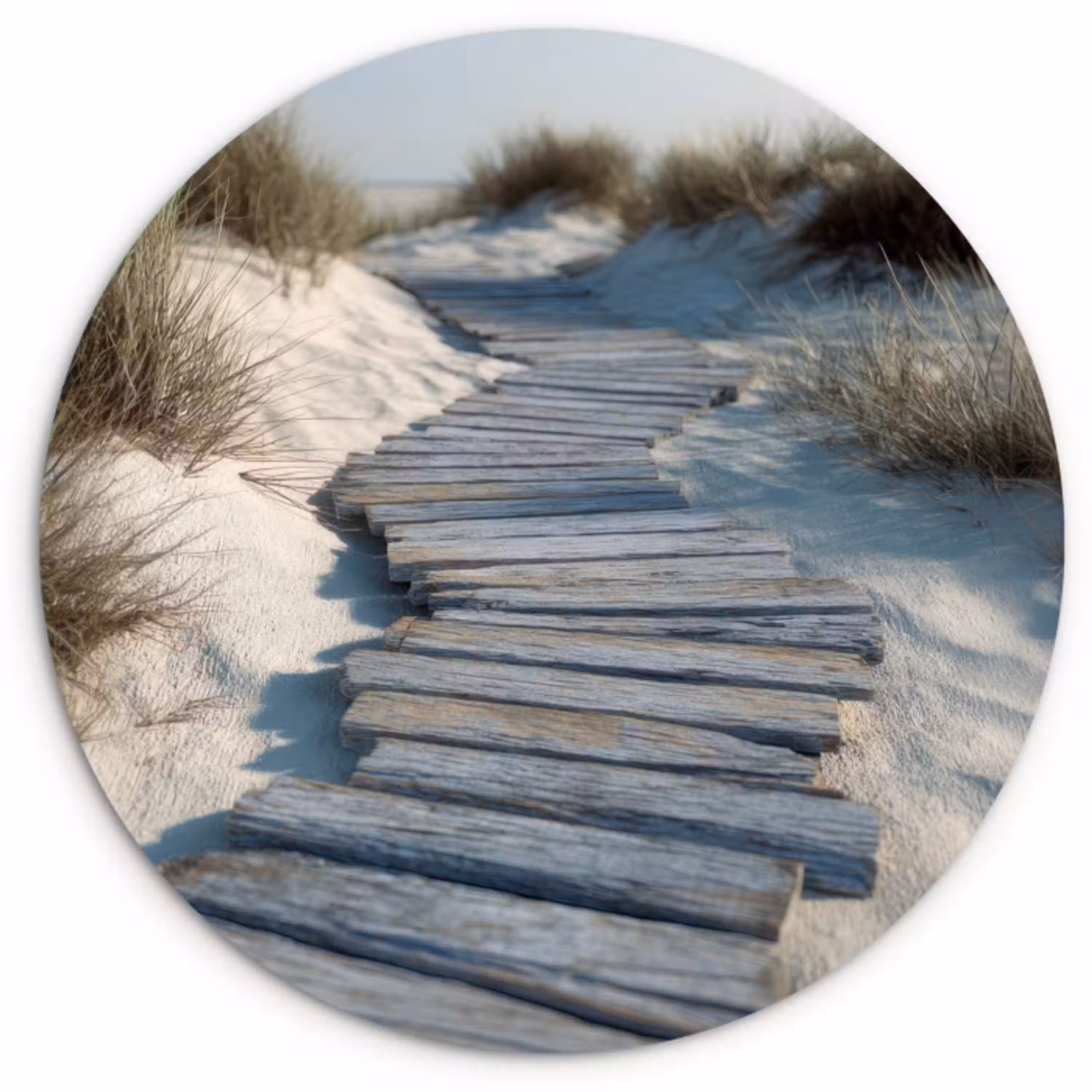 Pad - Planken - Duinen - Gras Wandcirkel kunststof plaat 5mm dik klein -3d