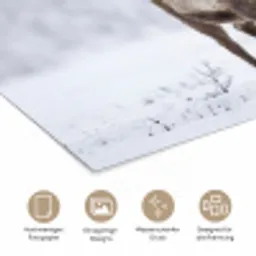 Rendier - Gewei - Toendra - Sneeuw - Wild poster papier klein -tcloseup_DE