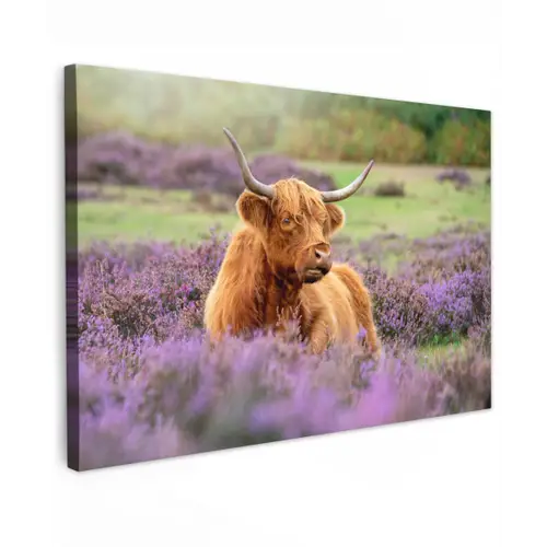 Hooglander in de Heide Tuinposter op houten frame 2 cm dik klein -3d