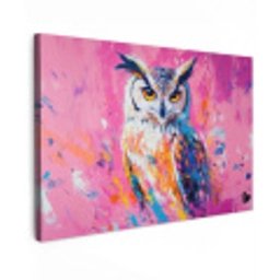 Uil - Roze - Blauw - Verf - Abstract Tuinposter op houten frame 2 cm dik klein -3d
