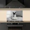 Kat - Siamees - Zwart Wit - Schattig - Dieren keuken achterwand spatscherm klein -sfeer1