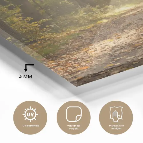 Zonlicht - Bospad - Bomen plexiglas 5mm klein -sfeer2