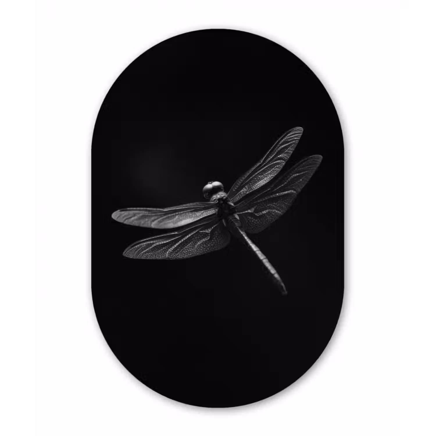 Glasbild Oval - Libelle - Tiere - Schwarz - Insekt