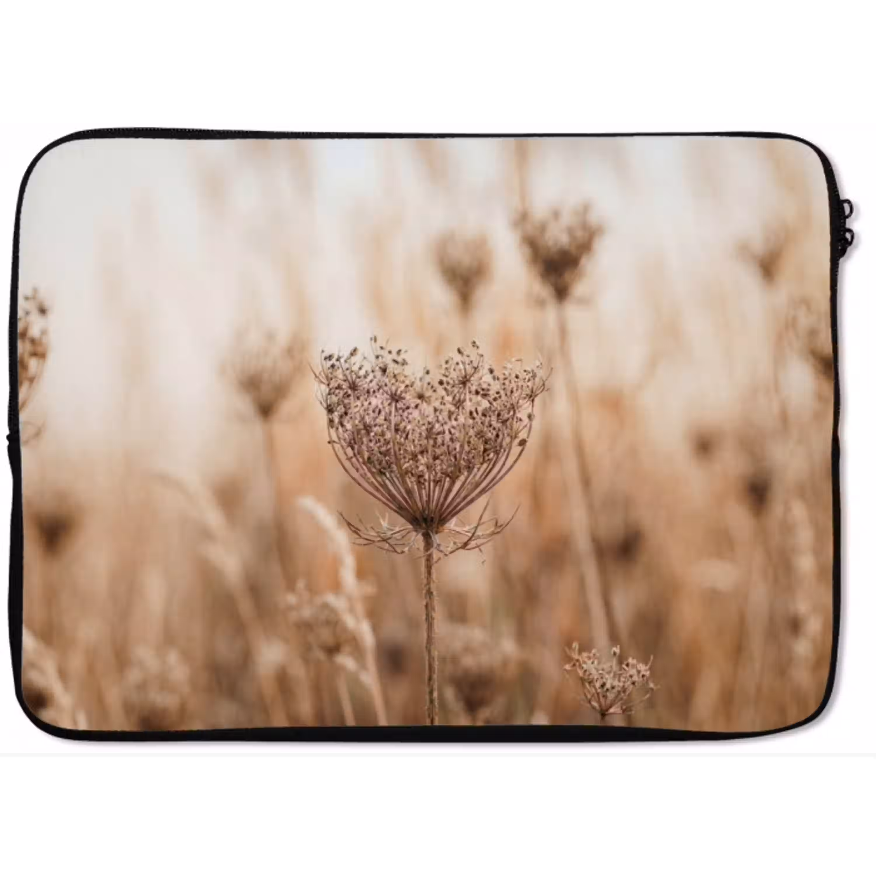 Schermbloem - Droogbloem - Winter - Beige - Minimalistisch laptophoes neopreen klein -zkaufland3dotto