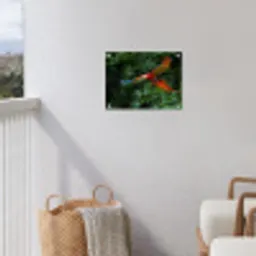 Kleurrijke papegaai is aan het vliegen tuinposter los doek klein -sfeer8