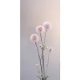 Bloemen - Bollen - Roze Behang Vlies klein -3d_website