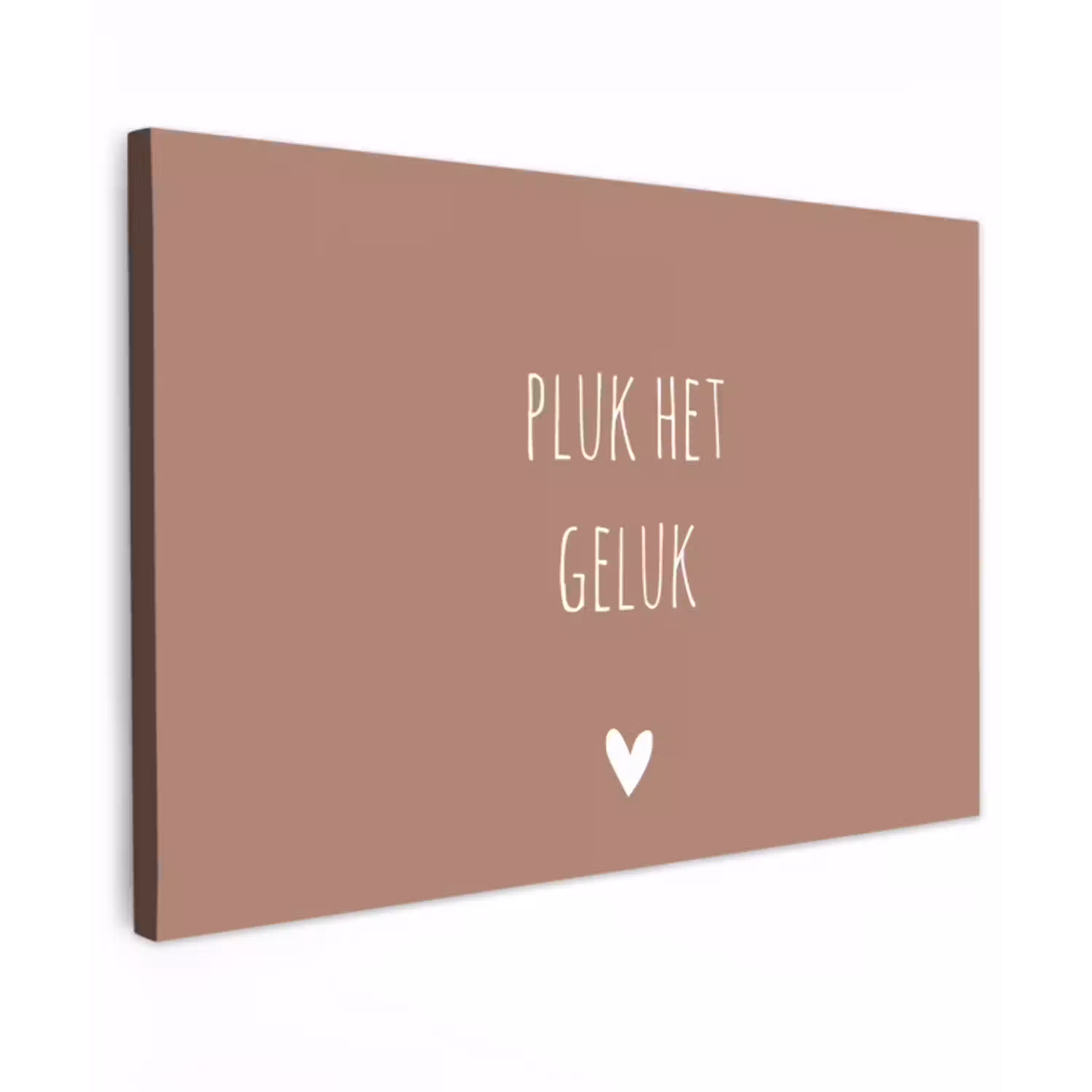 Pluk het geluk - Spreuken - Quotes Tuinposter op houten frame 2 cm dik klein -3d