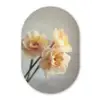 Narcissen - Geel - Bloemblaadjes Wandcirkel Ovaal Forex klein -3d