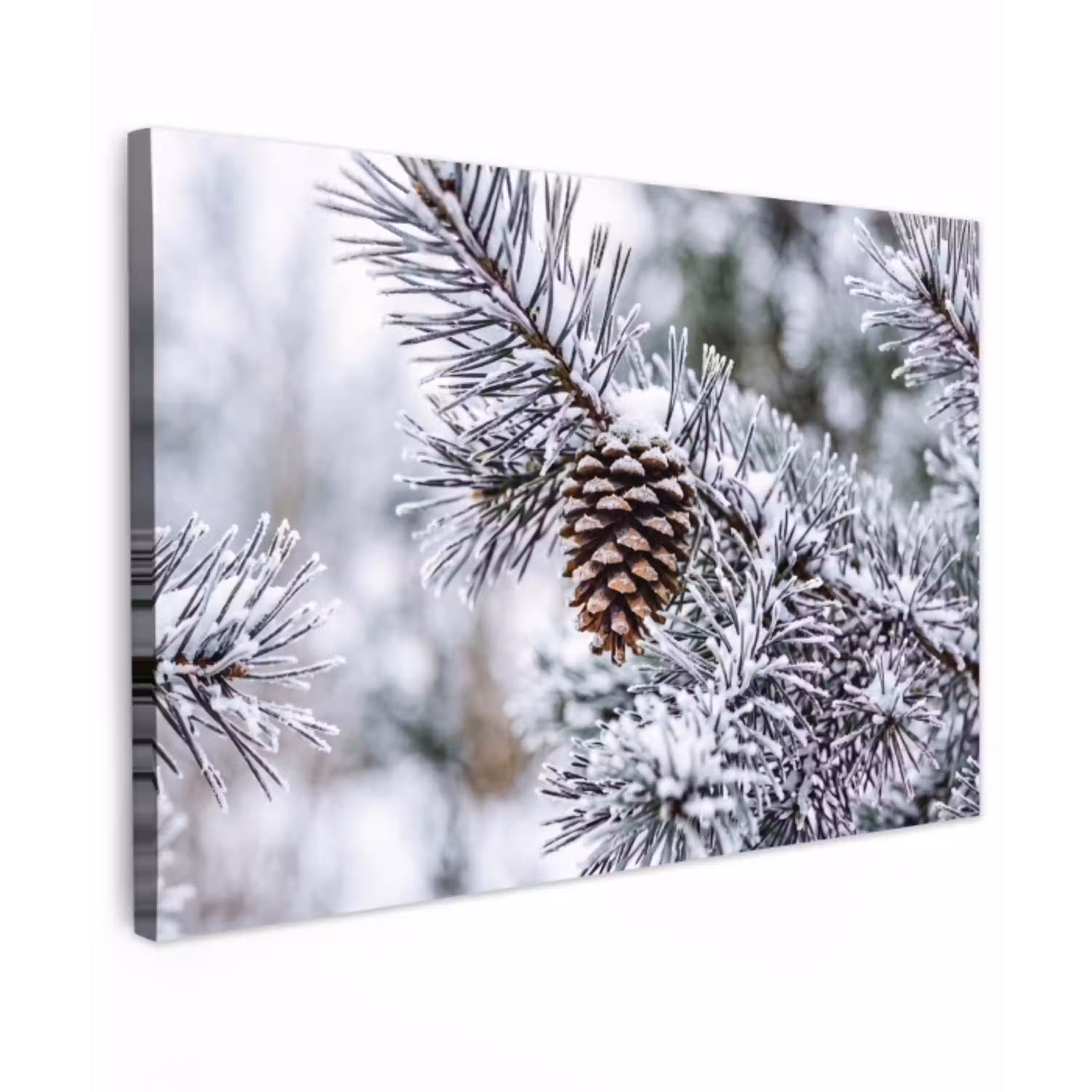 Dennenappel - Tak - Sneeuw - Winter - Sfeervol canvas 2cm klein -z3d
