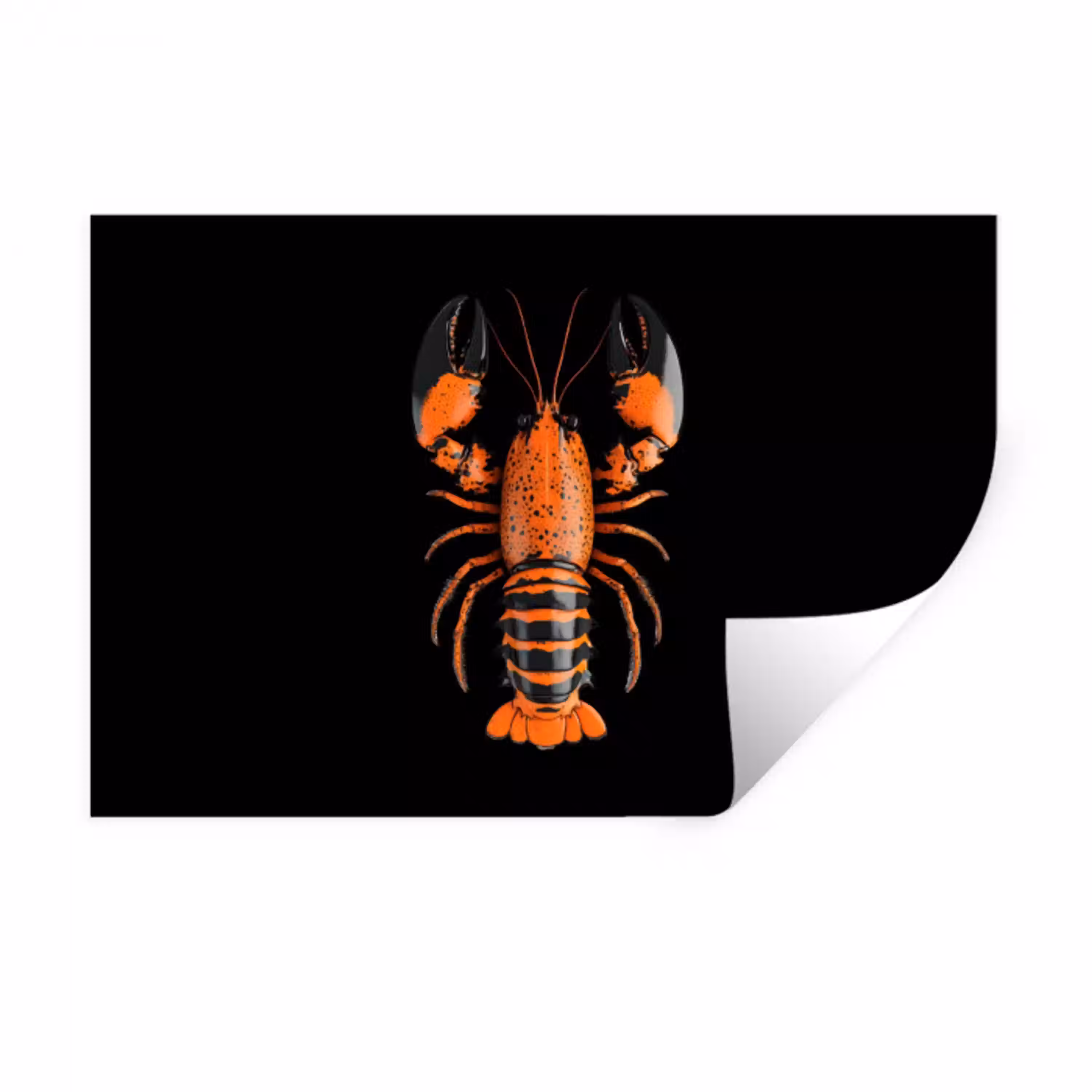 Kreeft - Oranje - Zwart - Modern Muursticker klein -3d
