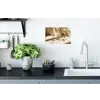 Wijn - Wijnglazen - Wit Muursticker klein -keuken