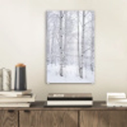 Berkenbomen - Sneeuw - Winter - Bos - Wit plexiglas 5mm klein -sfeer1