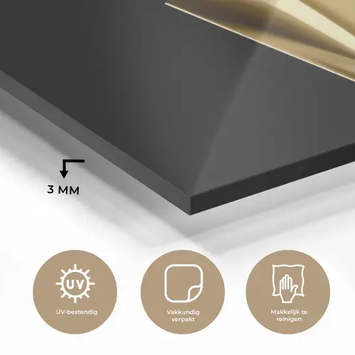 Friet - Goud - Chrome - Eten plexiglas 5mm klein -sfeer2