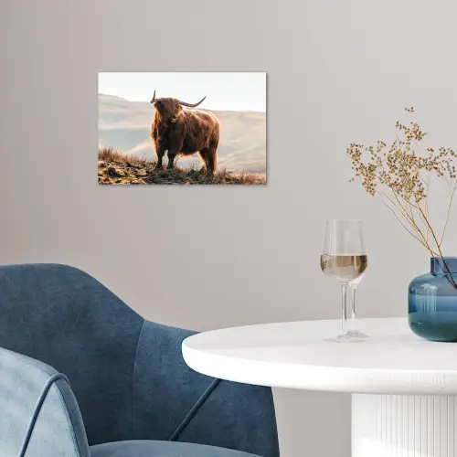 Schotse hooglander - Dieren - Landelijk - Landschap - Koe - Natuur poster papier klein -sfeer3