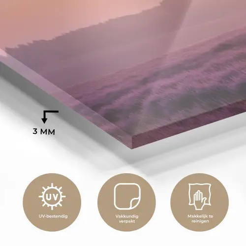 Boom - Heide - Zonsopgang plexiglas 5mm klein -sfeer2