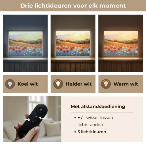 Klaproos - Bloemenveld - Kleurrijk Light Box met batterij (Wandlamp) middel -USP_lichtkleurNL