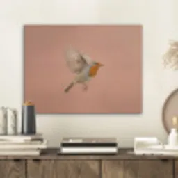 Roodborst - Natuur - Roze PET vilt klein -sfeer1