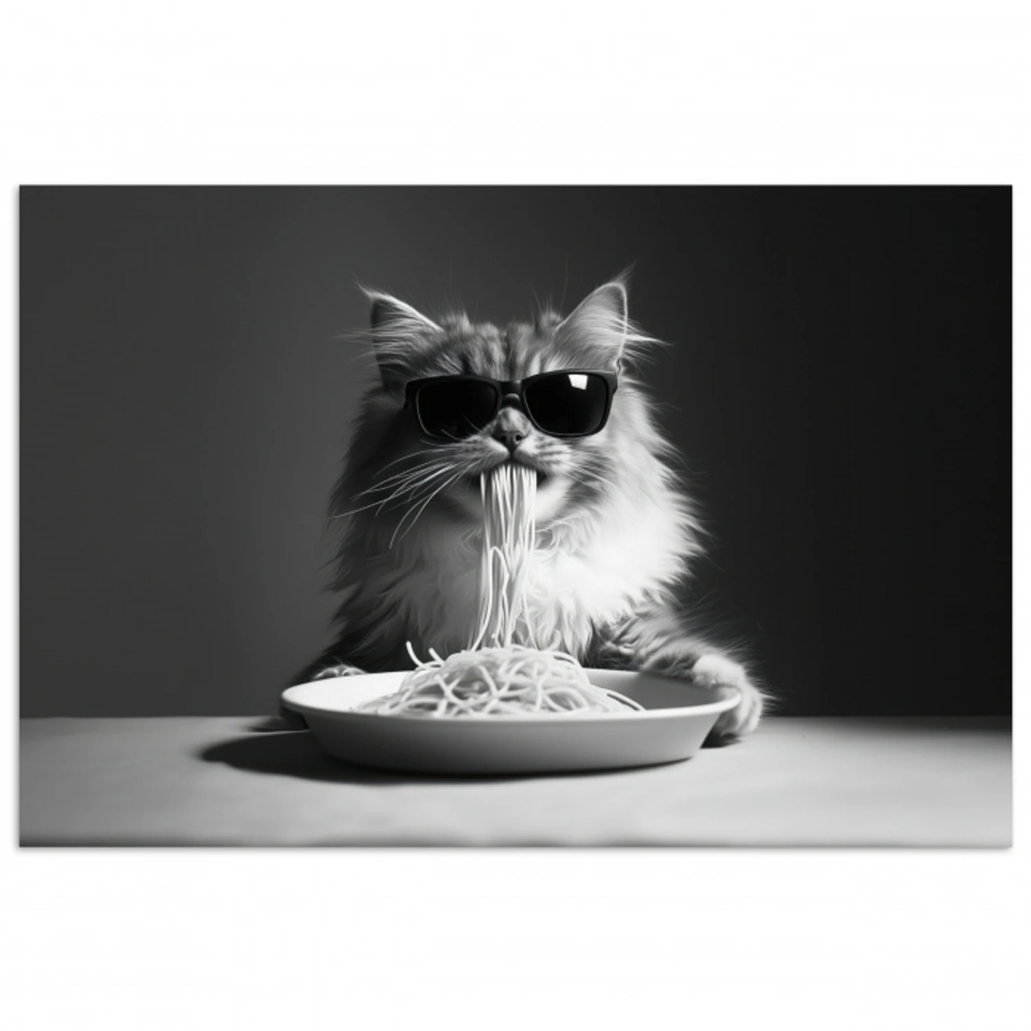 Langharige kat - Zonnebril - Spaghetti - Humor - Zwart - wit poster papier klein -3d