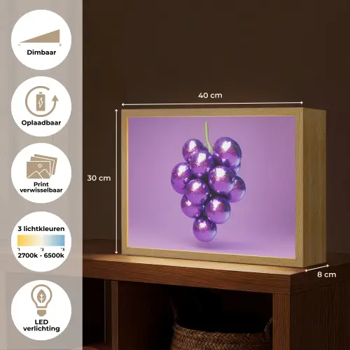 Druif - Disco - Glitter - Paars Light Box met batterij (Wandlamp) middel -USP_websiteoverzichtNL