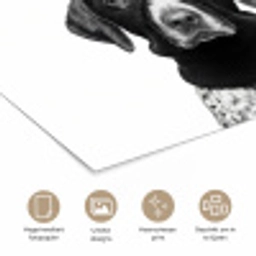 Honden - Bivakmuts - Zwart - wit poster papier klein -closeup_NL