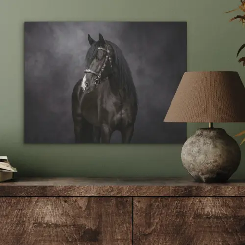Portret - Paard - Zwart PET vilt klein -sfeer2