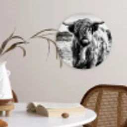 Schotse hooglander - Natuur - Koe - Zwart - Wit Wandcirkel kunststof plaat 5mm dik klein -sfeer4