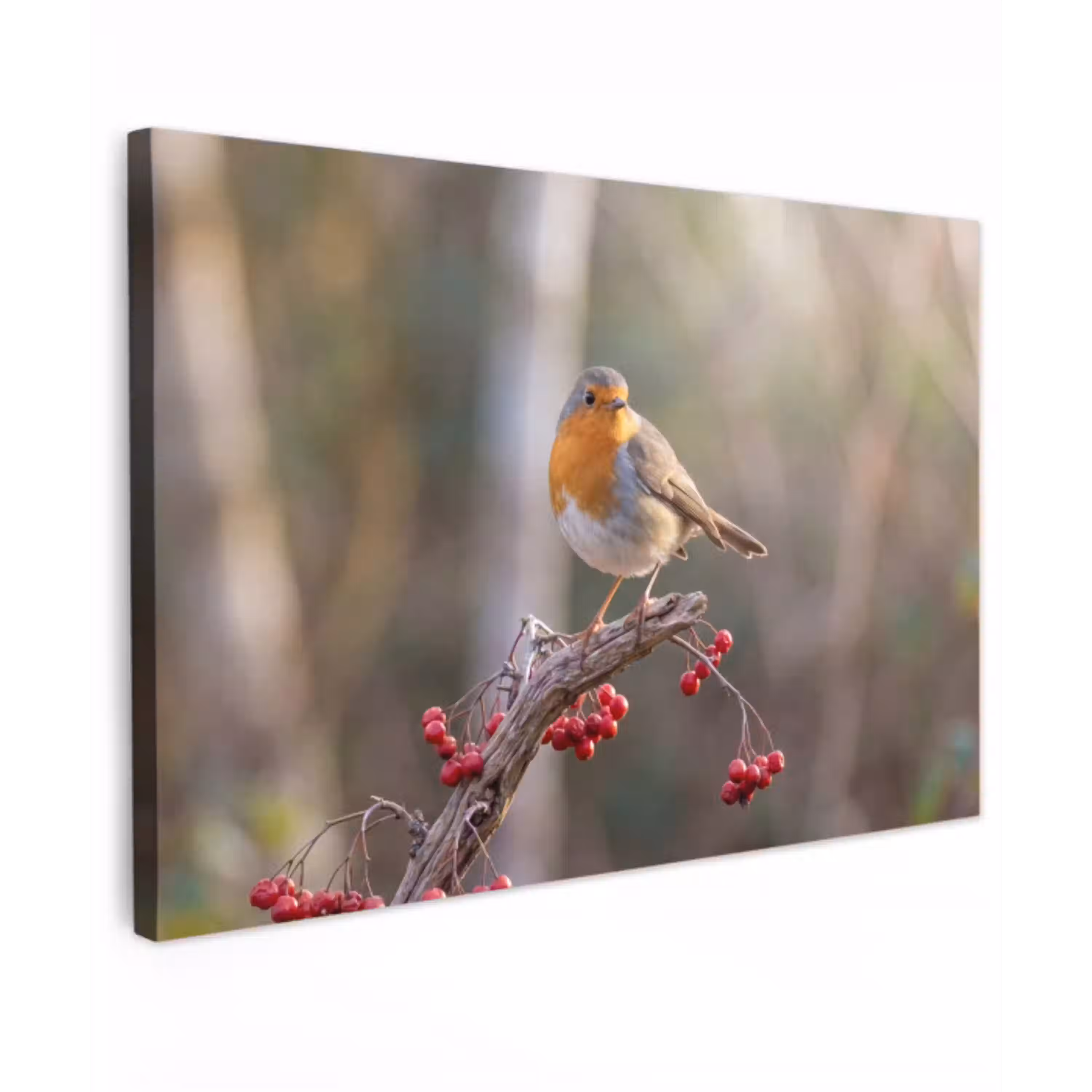 Roodborst - Tak - Bessen - Natuur canvas 2cm klein -z3d
