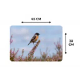 Roodborsttapuit - Heide - Paars - Natuur - Sfeervol Placemat vinyl groot -specs