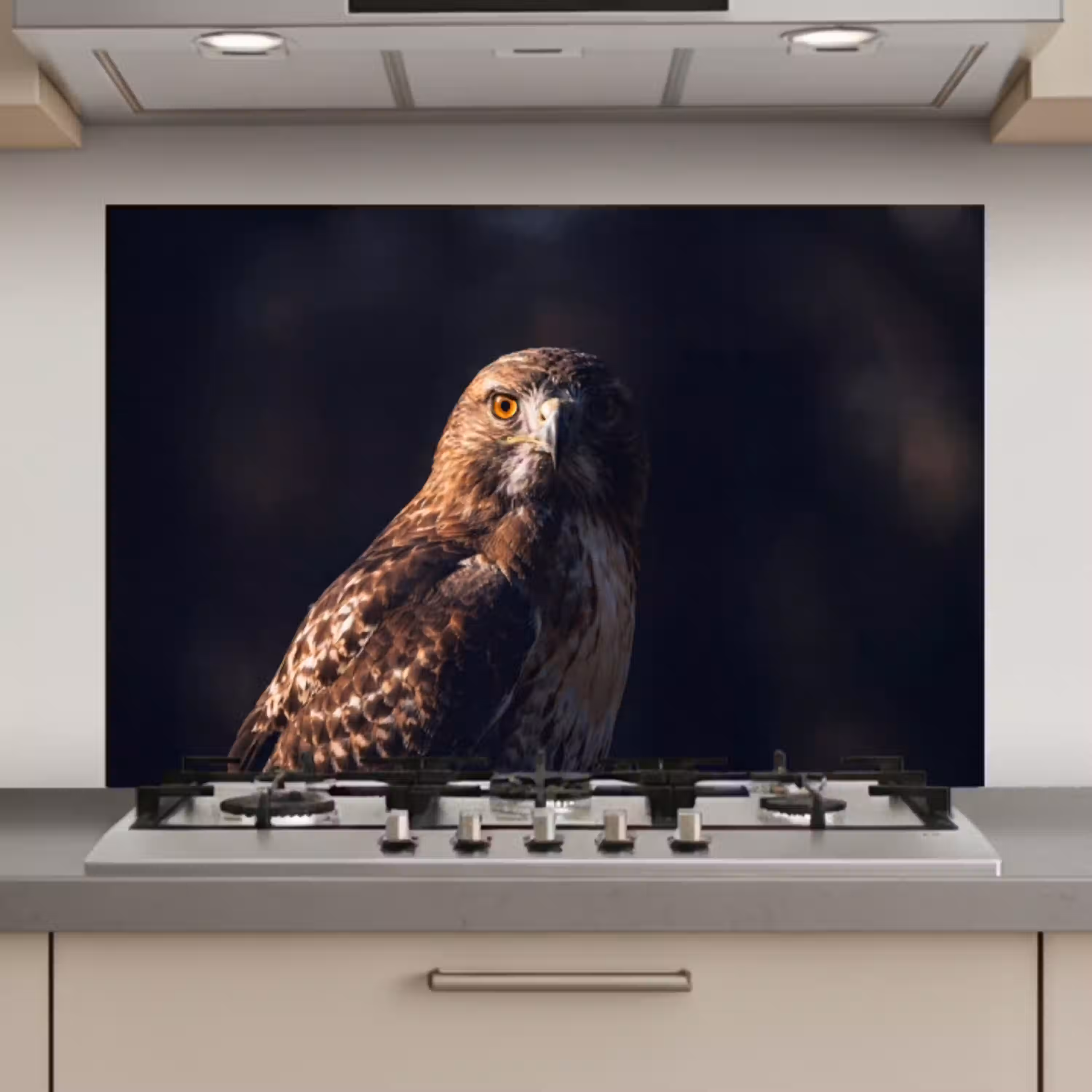 Roofvogel - Buizerd - Bruin keuken achterwand spatscherm klein -3d_website