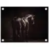 Krachtig - Paard - Donker tuinposter los doek klein -3d