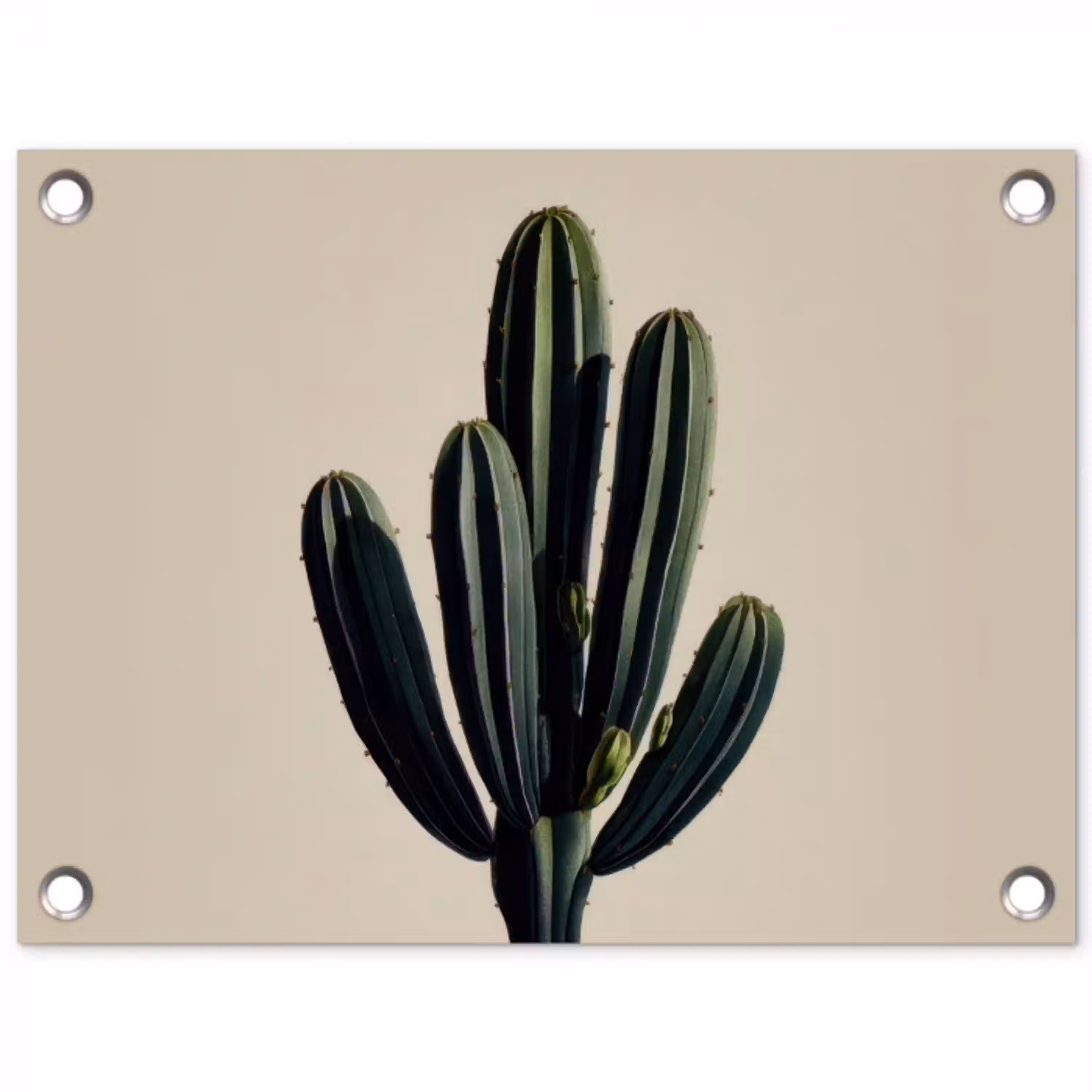 Cactus - Subtiel - Groen tuinposter los doek klein -3d