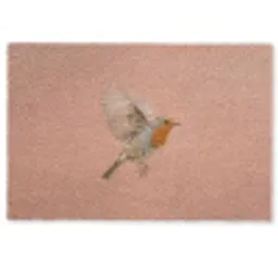 Roodborst - Natuur - Roze Deurmat klein -zkaufland3d
