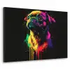 Puck - Hond - Verf - Kleuren Textielframe zwart klein -3d