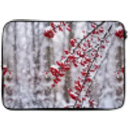 Bessen - Takken - Sneeuw - Winter - Kleurrijk laptophoes neopreen klein -zkaufland3dotto