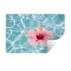 Hibiscus - Water - Roze Muursticker klein -3d