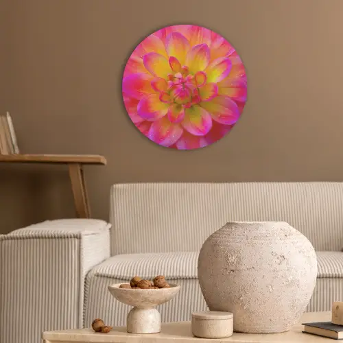 Roze - Dahlia - Kleurrijk Akoestische PET Vilt - Rond klein -sfeer1