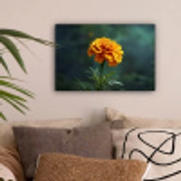 Bloemblaadjes - Afrikaan - Oranje - Wazig canvas 2cm klein -sfeer1