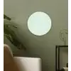 Krokodil - Leer - Lichtgroen Wandcirkel plexiglas klein 852 -sfeer3