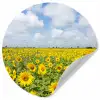 Zonnebloemen - Bloemen - Wolken - Natuur - Geel - Landschap Wandcirkel behangsticker klein -3d