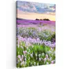 Bloemen - Lavendel - Paars - Lucht - Zonsondergang - Weide - Natuur canvas 2cm klein -z3d
