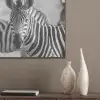 Zebra's - Zwart - Wit PET vilt klein -sfeer6_closeup