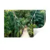 Jungle - Palmboom - Brug - Natuur - Planten Muursticker klein -3d