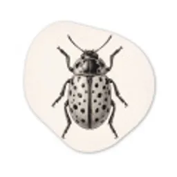 Kever - Insect - Vintage Wandcirkel Organisch Forex 3mm klein -3d